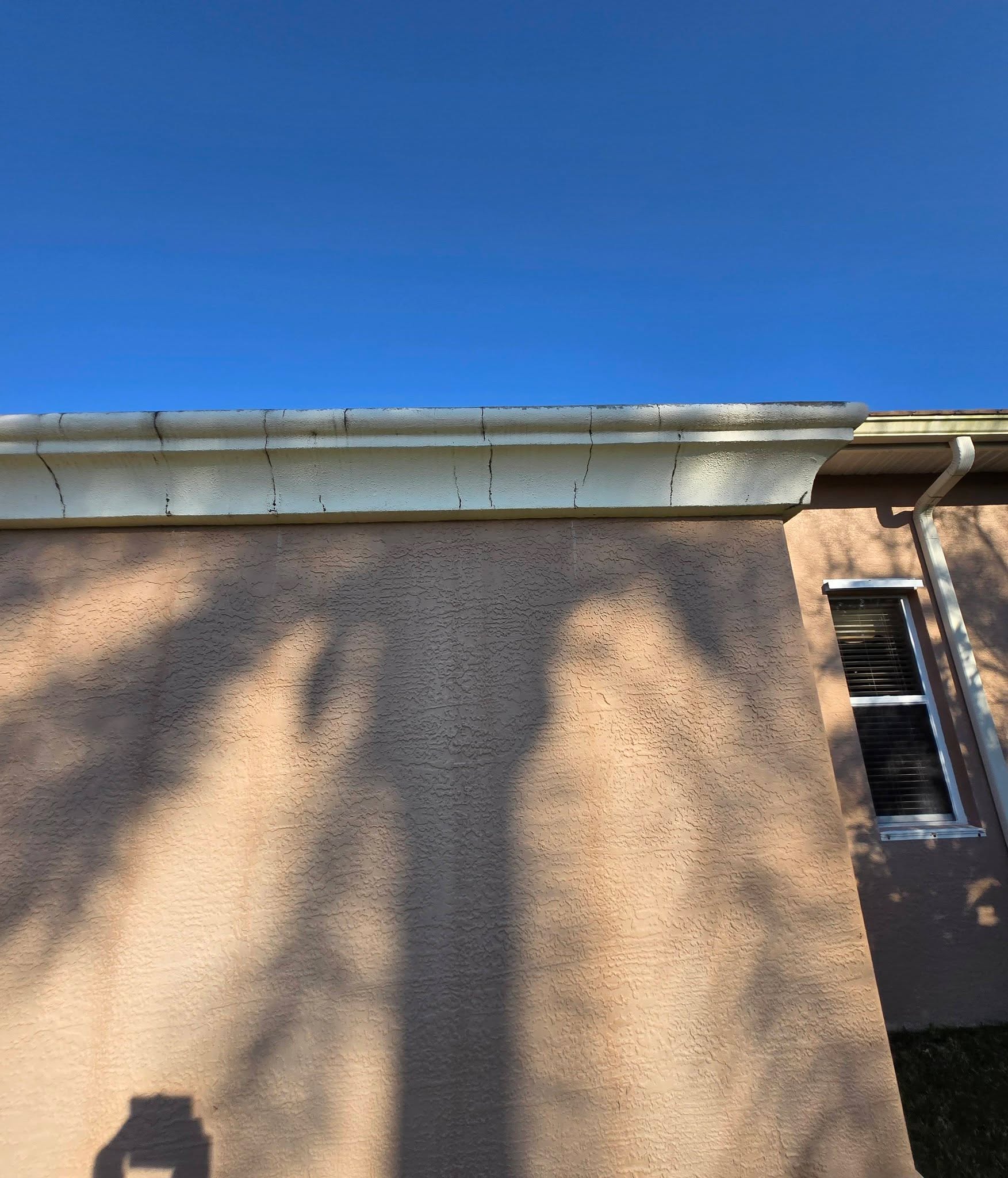 Exterior Stucco Repair & Paint